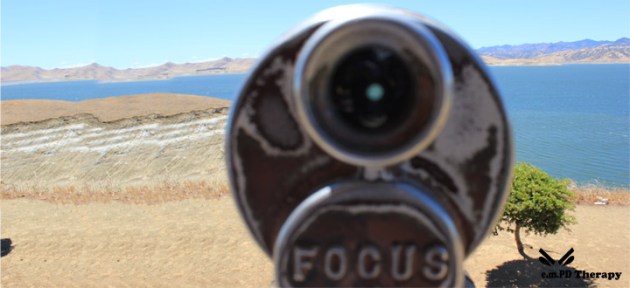 Focus landscape